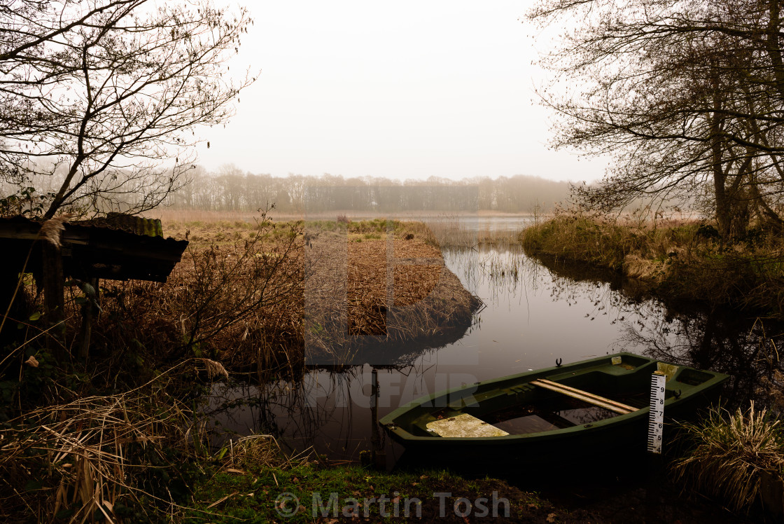 Rowing boat in Norfolk broads mooring I License, download or print